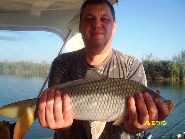 delta rosu 2009 - sany7965.JPG